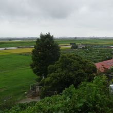 利根川が良く見えます