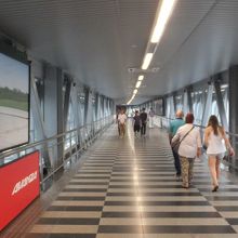 スカイウォーク 