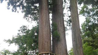 修善寺温泉の御守護