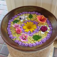 ロビーにある水鉢・絵のように美しい花かざり