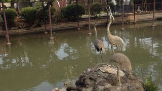 賑わってます！