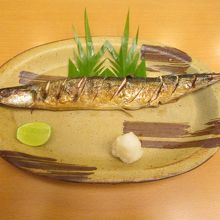 秋刀魚、ちょっと痩せてはいますが問題はなし