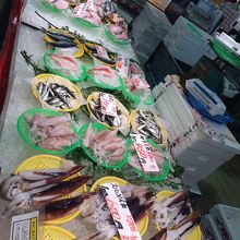 生ものいっぱい