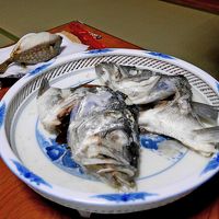 さかなのあたま