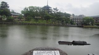 興福寺の五重塔を望む池