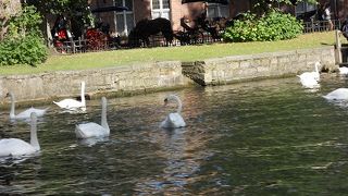 絶対に乗ってください！