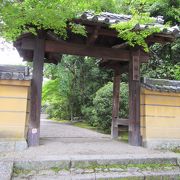 苔の美しい寺院、御朱印は１年に１日限定（大混雑）