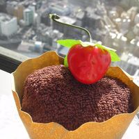 誕生日のお祝いに、ホテルからかわいいタオルをいただきました