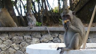 ケチャックダンスは圧巻