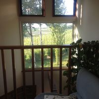 吹き抜け越しにブドウ畑が望めます