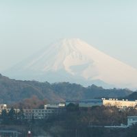 遠く富士山が見えます