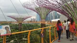 無料で入れるエリアで満喫しました！