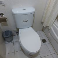 使用した紙は流せません。脇のゴミ箱に捨てます。