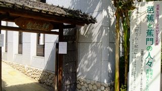 芭蕉について学べる