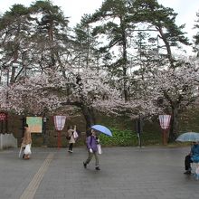 この近くまでバスが来ます。