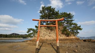 大島港ターミナル近くの観光スポット