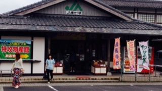 知覧茶やさつまいもがお買い得