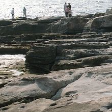 岩のアップも紹介します