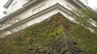 思ったより大きかった