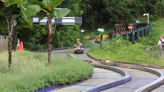 大人から子どもまで楽しめる乗り物