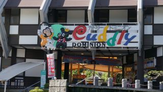 子熊と触れ合える