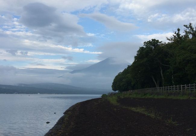 富士山が見えます