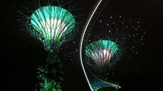 夜に行った方が綺麗です。