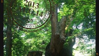 パワースポット