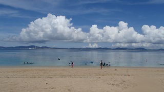 魚が見えて良かった。