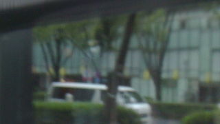 久々にのぞいたら。