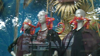 ジャングルをかんじさせるディスプレイ！モンキーかわいい！