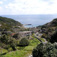 海が良く見える