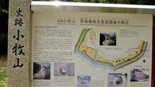 いろいろ分かった