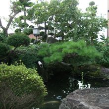 座敷から日本庭園が見えます