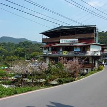 桃の花に飾られた御茶屋