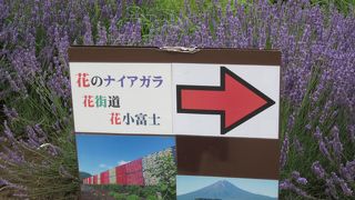 ハーブフェスがおすすめ！