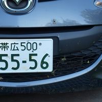 道中バッタの大群に突っ込んでしまった。