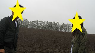 まるで絵画の様です