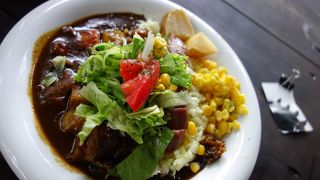 キャンプに来たみたいな、秘密基地みたいなカレー屋　＠唯我独尊