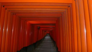鳥居の数がすごい