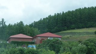 ワイン工場見学と試飲！　＠ふらのワイン工場　　　　