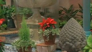 マルチなスポットです。