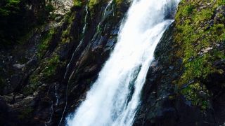 迫力満点！近くで大きな滝を見られます