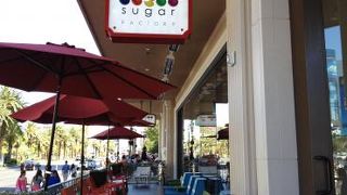 Sugar Factory Bar & Grill