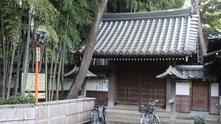 袈裟懸松のある寺