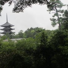 窓から見える興福寺の塔