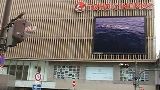 映画を見に来ます