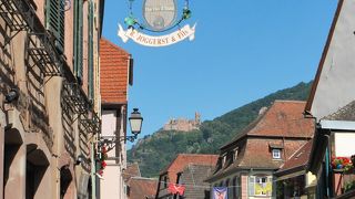 けっこう広いです