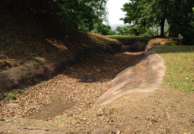 綺麗に手入れしてあります