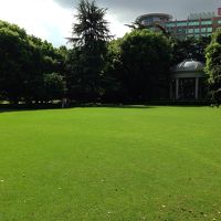 朝のお散歩は広いお庭で^^